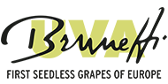 logo dark